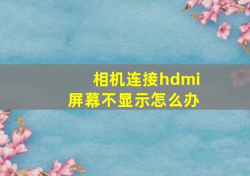 相机连接hdmi屏幕不显示怎么办