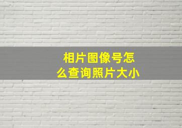 相片图像号怎么查询照片大小