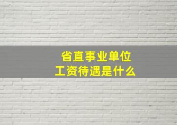 省直事业单位工资待遇是什么