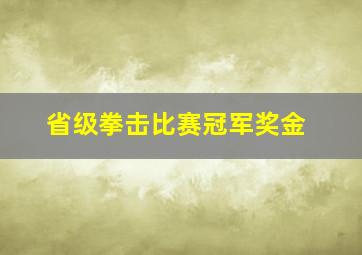 省级拳击比赛冠军奖金