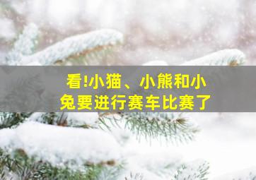 看!小猫、小熊和小兔要进行赛车比赛了