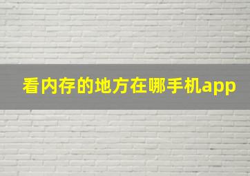 看内存的地方在哪手机app