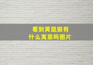 看到黄鼠狼有什么寓意吗图片