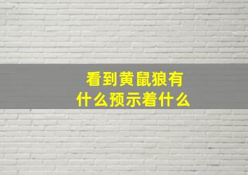 看到黄鼠狼有什么预示着什么