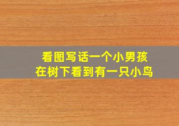 看图写话一个小男孩在树下看到有一只小鸟