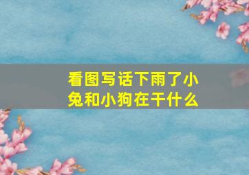 看图写话下雨了小兔和小狗在干什么