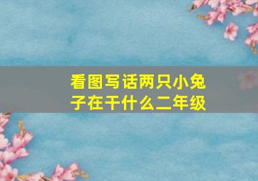 看图写话两只小兔子在干什么二年级