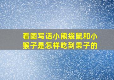 看图写话小熊袋鼠和小猴子是怎样吃到果子的