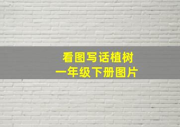 看图写话植树一年级下册图片