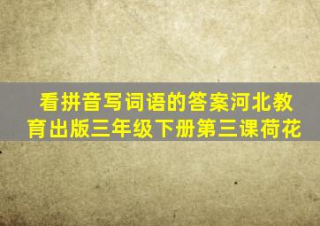 看拼音写词语的答案河北教育出版三年级下册第三课荷花