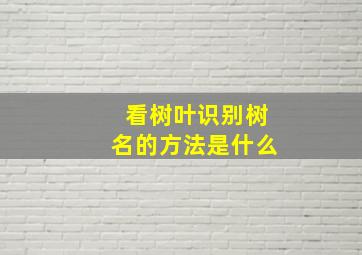 看树叶识别树名的方法是什么