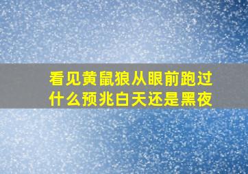 看见黄鼠狼从眼前跑过什么预兆白天还是黑夜