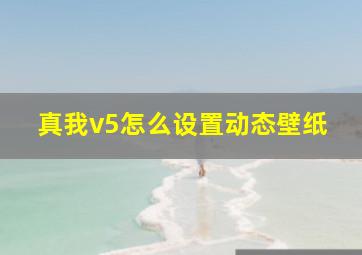 真我v5怎么设置动态壁纸