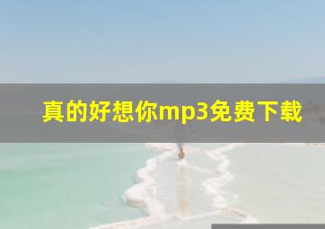 真的好想你mp3免费下载