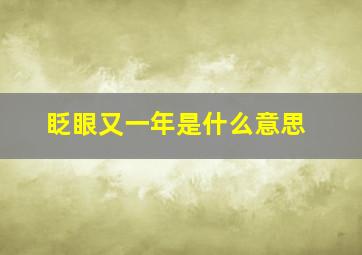 眨眼又一年是什么意思