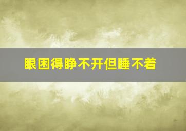 眼困得睁不开但睡不着