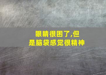 眼睛很困了,但是脑袋感觉很精神