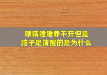 眼睛瞌睡睁不开但是脑子是清醒的是为什么