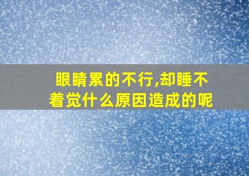 眼睛累的不行,却睡不着觉什么原因造成的呢