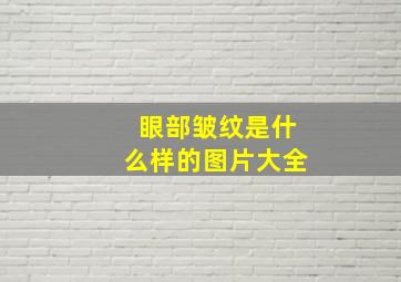 眼部皱纹是什么样的图片大全