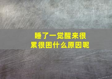 睡了一觉醒来很累很困什么原因呢