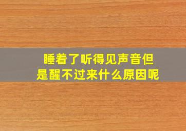 睡着了听得见声音但是醒不过来什么原因呢