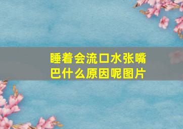 睡着会流口水张嘴巴什么原因呢图片