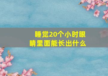 睡觉20个小时眼睛里面能长出什么