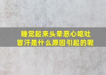 睡觉起来头晕恶心呕吐冒汗是什么原因引起的呢