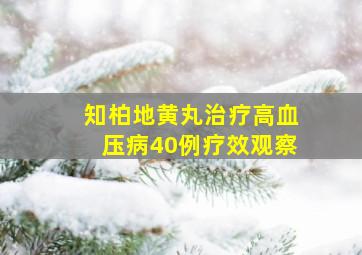 知柏地黄丸治疗高血压病40例疗效观察