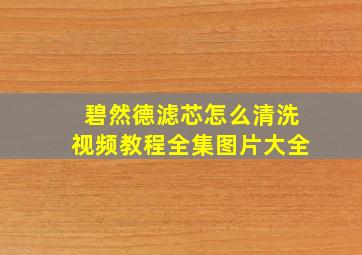 碧然德滤芯怎么清洗视频教程全集图片大全