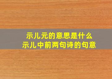 示儿元的意思是什么示儿中前两句诗的句意