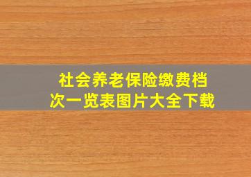 社会养老保险缴费档次一览表图片大全下载