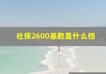 社保2600基数是什么档