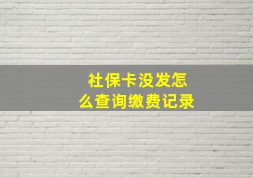 社保卡没发怎么查询缴费记录