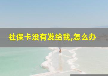 社保卡没有发给我,怎么办