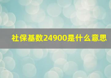 社保基数24900是什么意思