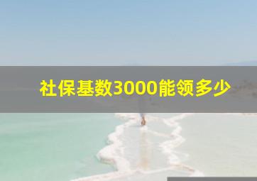 社保基数3000能领多少