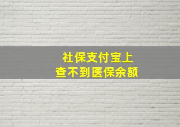 社保支付宝上查不到医保余额