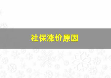 社保涨价原因