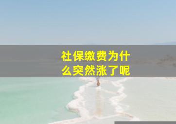 社保缴费为什么突然涨了呢