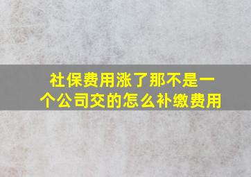 社保费用涨了那不是一个公司交的怎么补缴费用