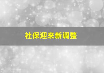 社保迎来新调整