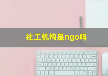 社工机构是ngo吗