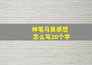 神笔马良感想怎么写20个字