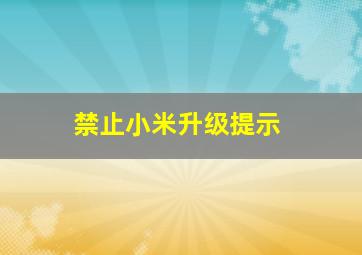 禁止小米升级提示