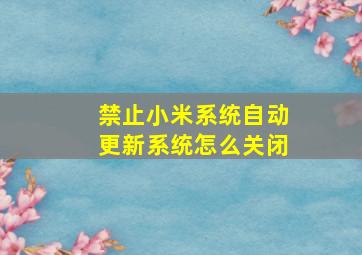 禁止小米系统自动更新系统怎么关闭