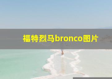 福特烈马bronco图片