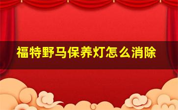 福特野马保养灯怎么消除