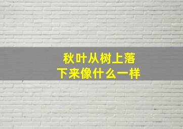 秋叶从树上落下来像什么一样